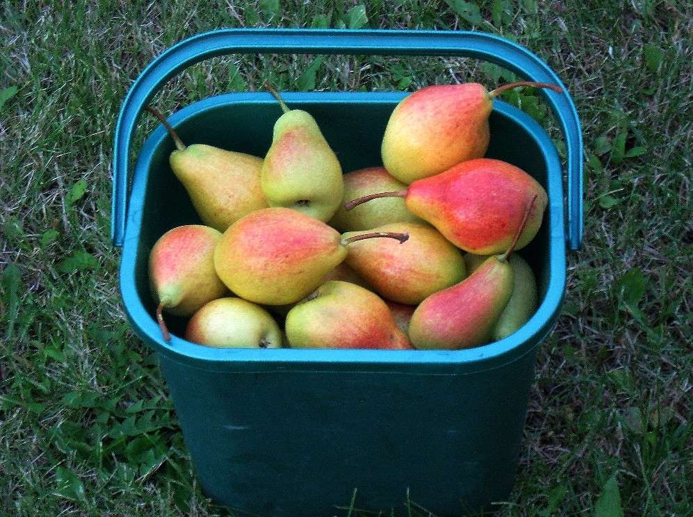 ����� �� ���� 2 ����� Natali  ��������� �� PhotoGeek.ru #����� �������������� #��������� #����� ��������