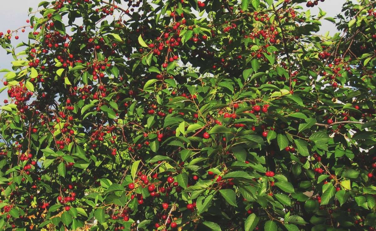 ... ����� Natali  ��������� �� PhotoGeek.ru #������ ��� ������� #����� �������������� #��������� #����� ��������