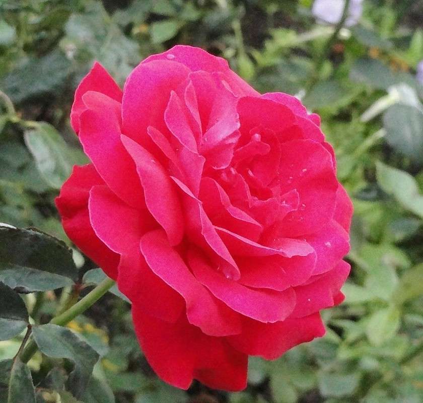 ... ����� Natali  ��������� �� PhotoGeek.ru #������ ��� ������� #����� ��������������