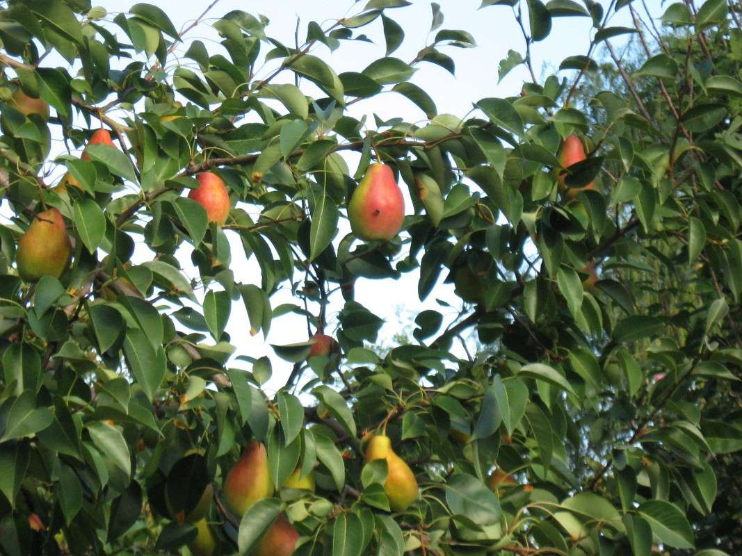 ... ����� Natali  ��������� �� PhotoGeek.ru #������ ��� ������� #����� ��������������