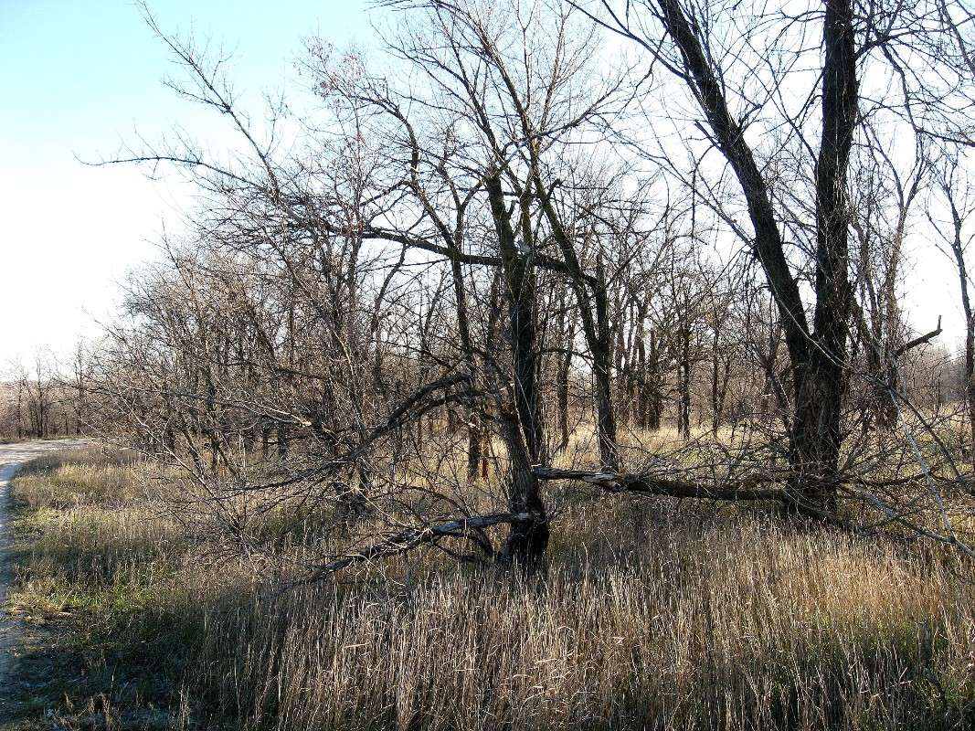 ... ����� Natali  ��������� �� PhotoGeek.ru #������ ��� ������� #����� ��������������