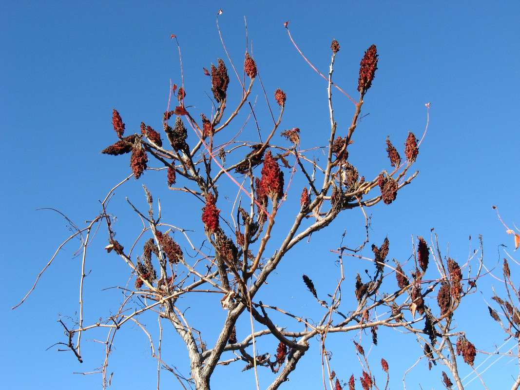 ... ����� Natali  ��������� �� PhotoGeek.ru #������ ��� ������� #����� ��������������