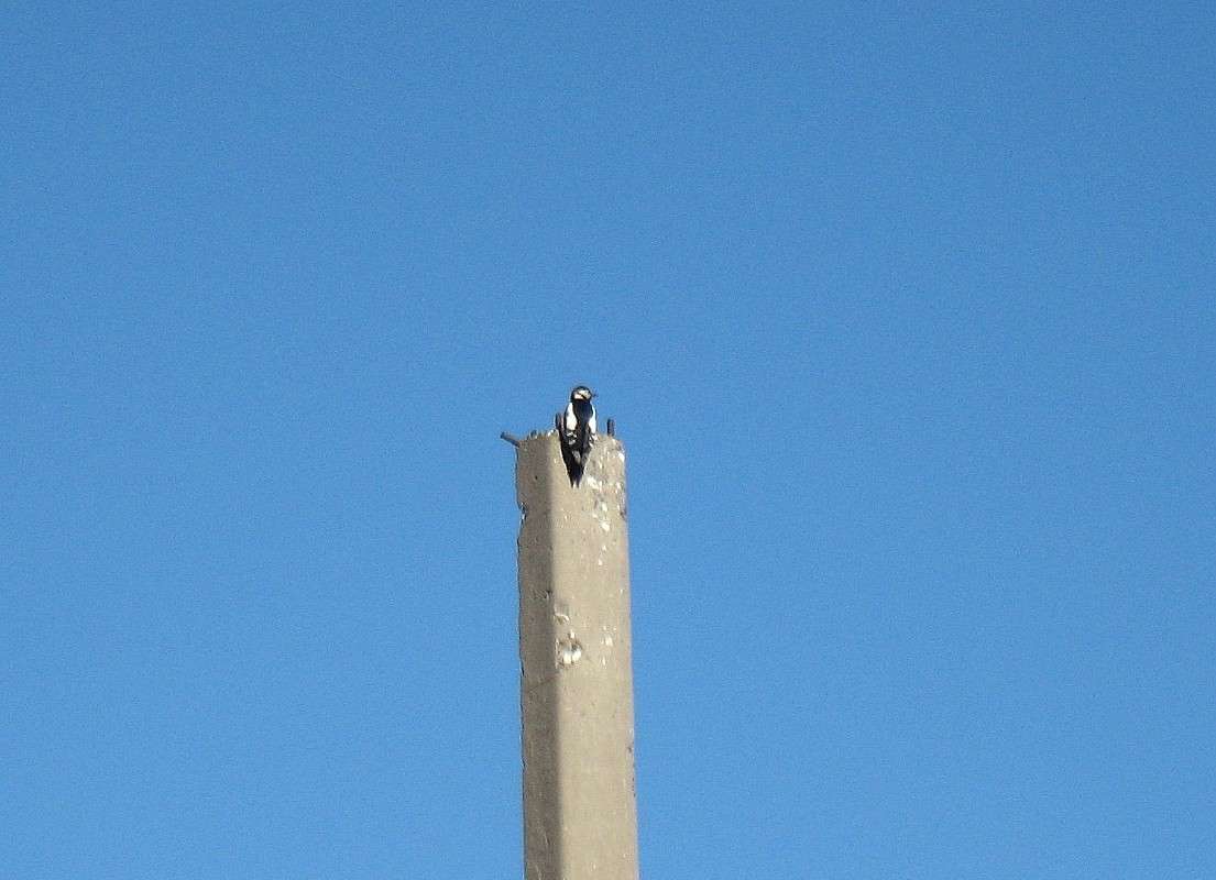 ����� � ������ ����� Natali  ��������� �� PhotoGeek.ru #�������� ��� #������ ��� �������