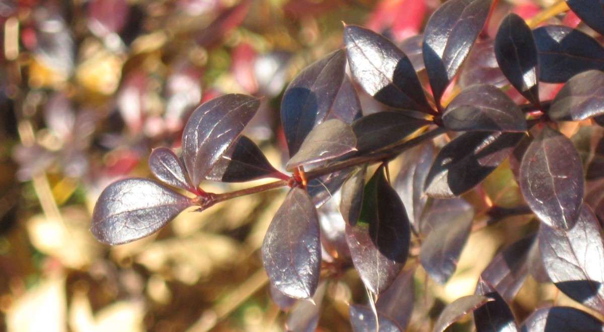 ... ����� Natali  ��������� �� PhotoGeek.ru #������ ��� ������� #����� ��������������