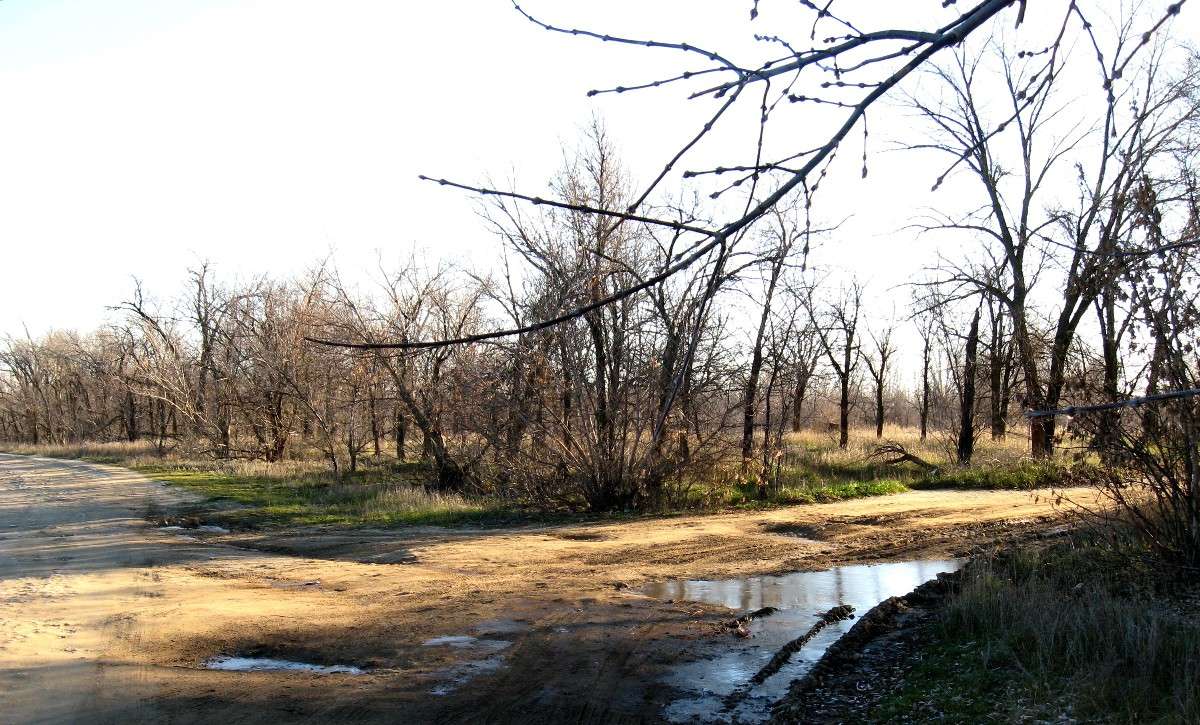 ����. ������ ���. ����� Natali  ��������� �� PhotoGeek.ru #������ ��� ������� #����� �������������� #����� ��������