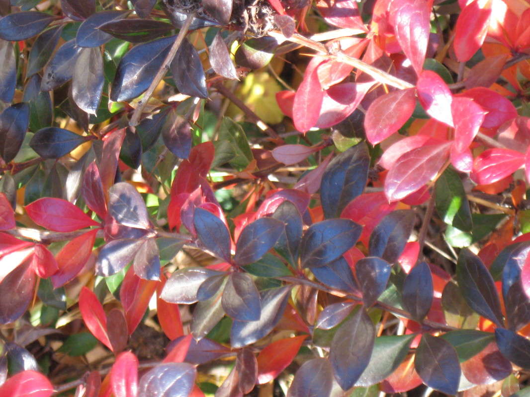 ��������� ������ � ���������� ���� 1 ����� Natali  ��������� �� PhotoGeek.ru #������ ��� ������� #����� �������������� #����� ��������