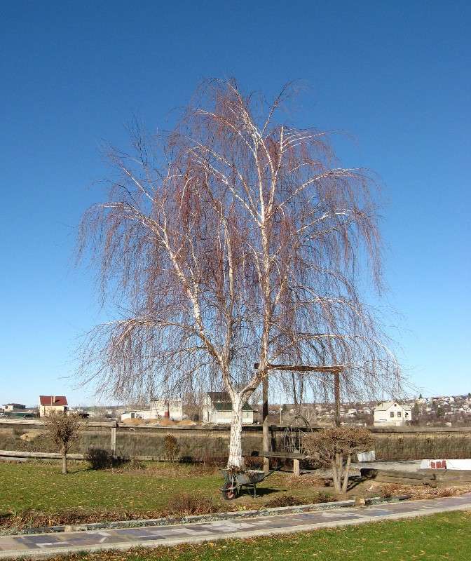 ��������  ������ ����� ����� Natali  ��������� �� PhotoGeek.ru #������ ��� ������� #����� �������������� #��������� #����� ��������