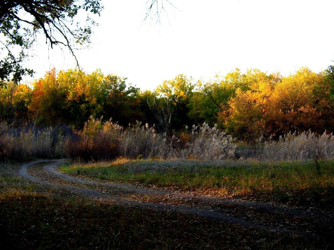 �����. ����� Natali  ��������� �� PhotoGeek.ru #������ ��� �������