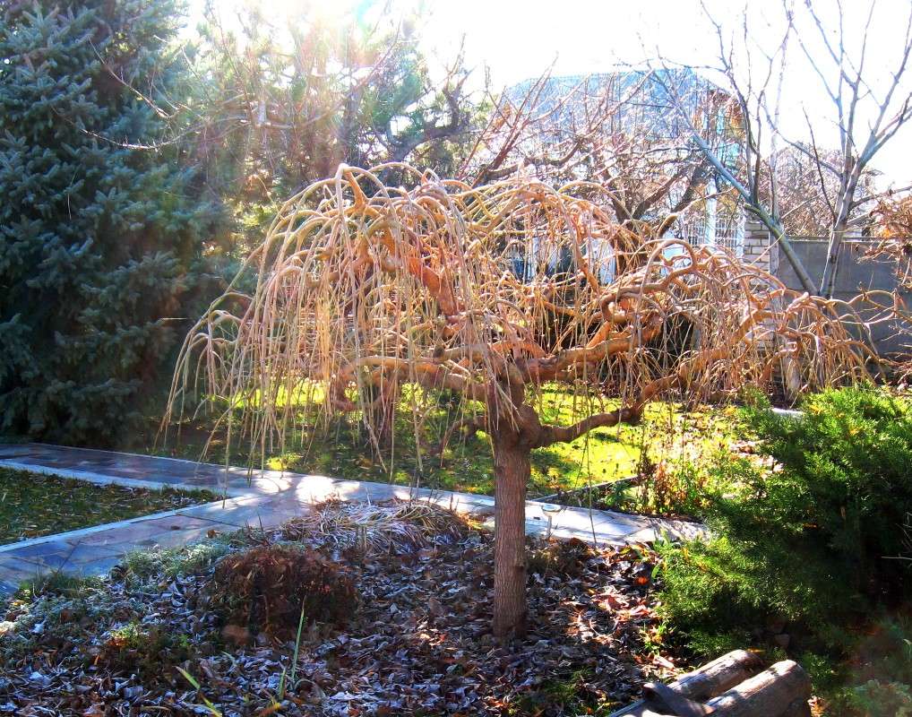 ������������ ������ ����. ����� Natali  ��������� �� PhotoGeek.ru #������ ��� ������� #����� �������������� #��������� #����� ��������