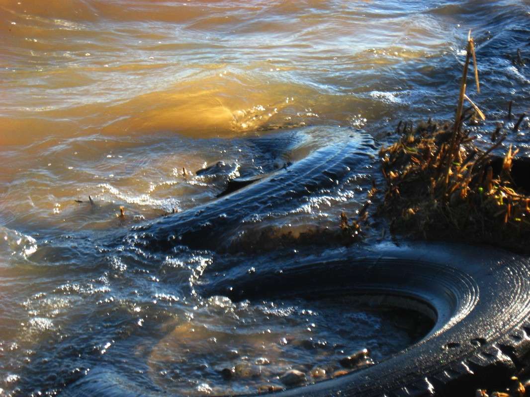 � �����, ��� ���� �����.....? ����� Natali  ��������� �� PhotoGeek.ru #������ ��� ������� #�������� ���������� #��������� #����� ��������