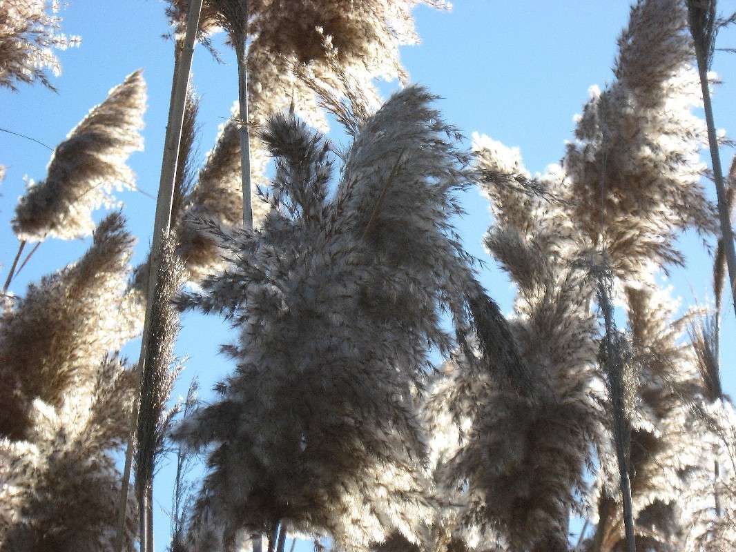 � ������ � �����. � �������. 1 ����� Natali  ��������� �� PhotoGeek.ru #������ ��� ������� #����� �������������� #���������