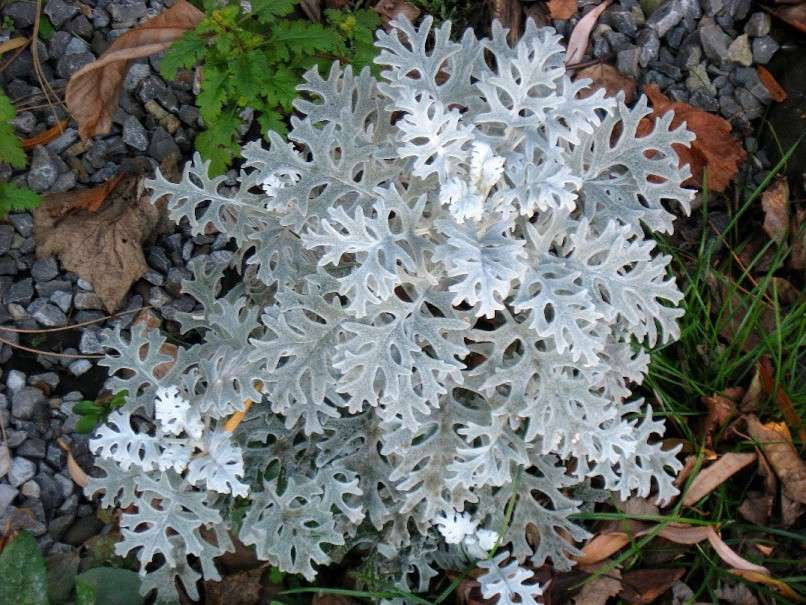 �� �����, � .... �� ��....) ����� Natali  ��������� �� PhotoGeek.ru #������ ��� ������� #����� �������������� #���������