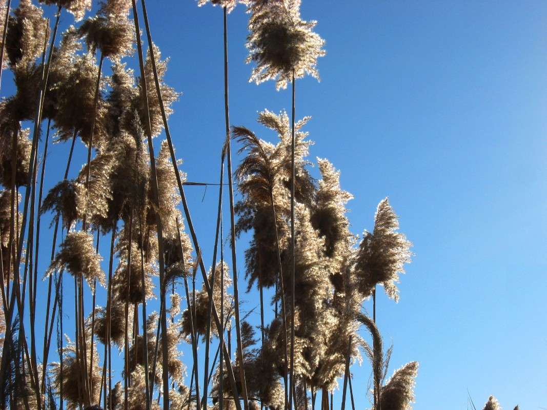 � ������ � �����. � �������. 3. ����� Natali  ��������� �� PhotoGeek.ru #������ ��� ������� #����� �������������� #��������� #����� ��������