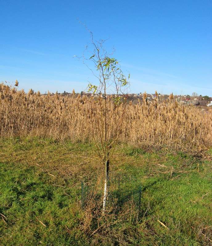 ����������, ��� �� ������ ����� Natali  ��������� �� PhotoGeek.ru #������ ��� ������� #����� �������������� #���������