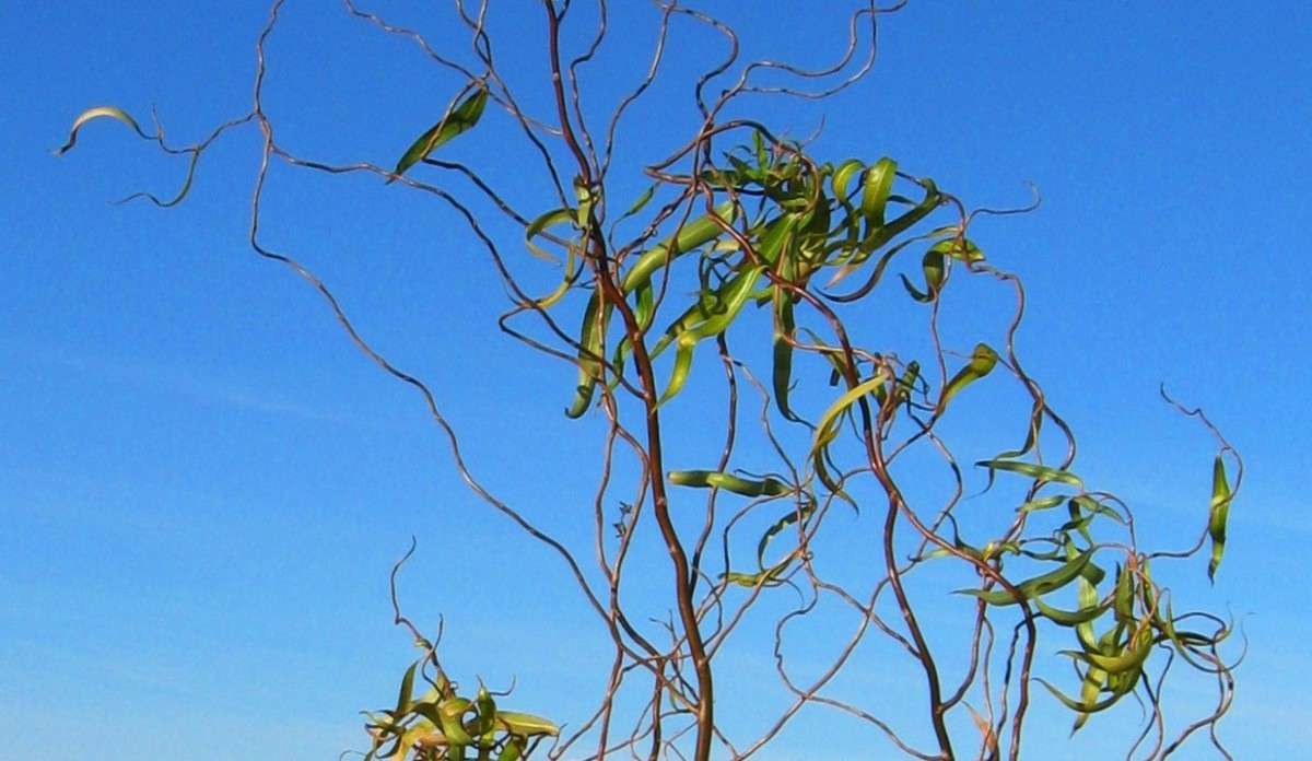 ... ����� Natali  ��������� �� PhotoGeek.ru #������ ��� ������� #����� �������������� #���������