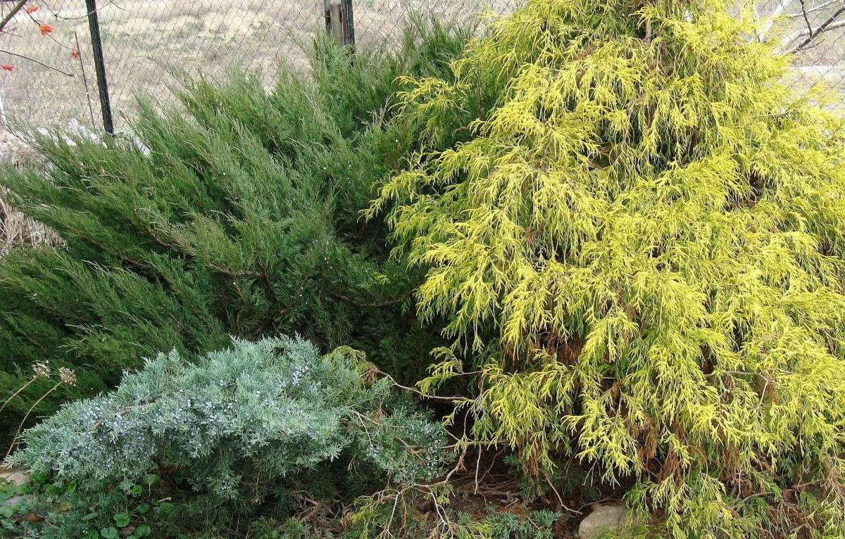 �� ����������� ����������� ! ����� Natali  ��������� �� PhotoGeek.ru #������ ��� ������� #����� �������������� #���������