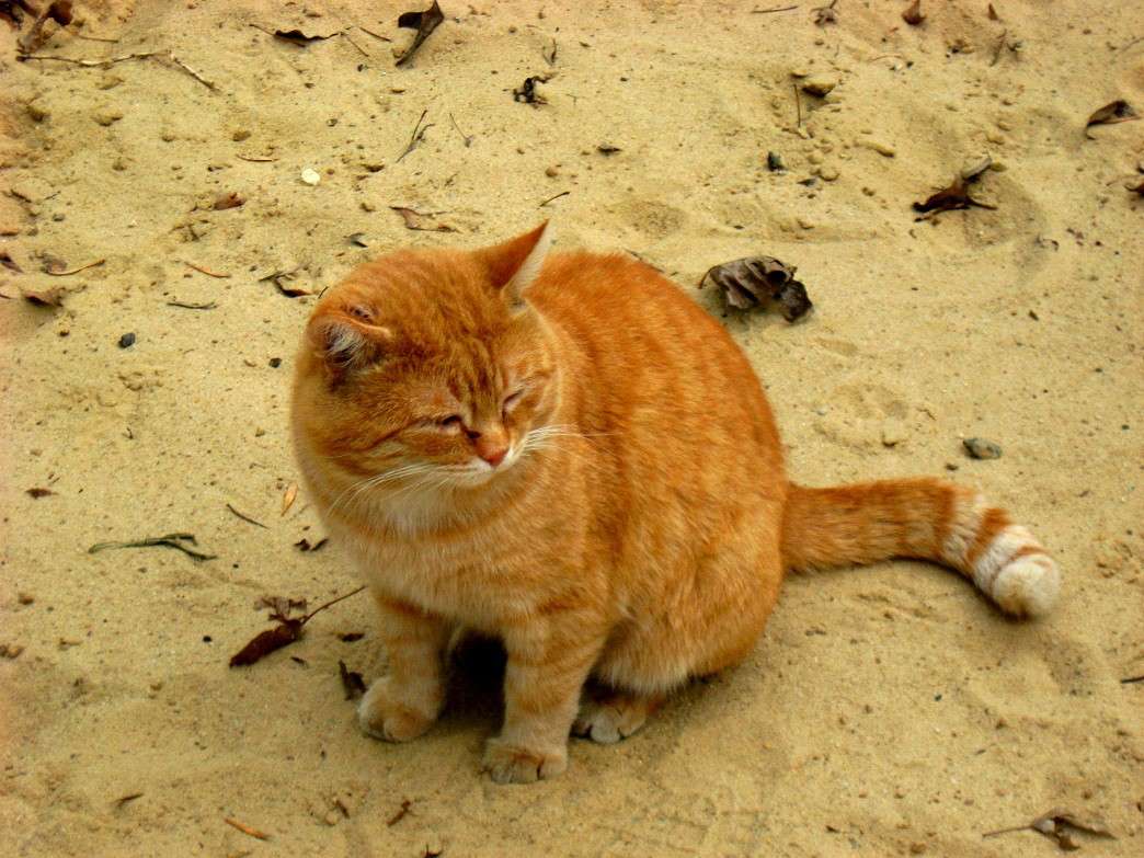 ����� ���� ���� ����� ���� ����� Natali  ��������� �� PhotoGeek.ru #�������� ��� #�������� ���