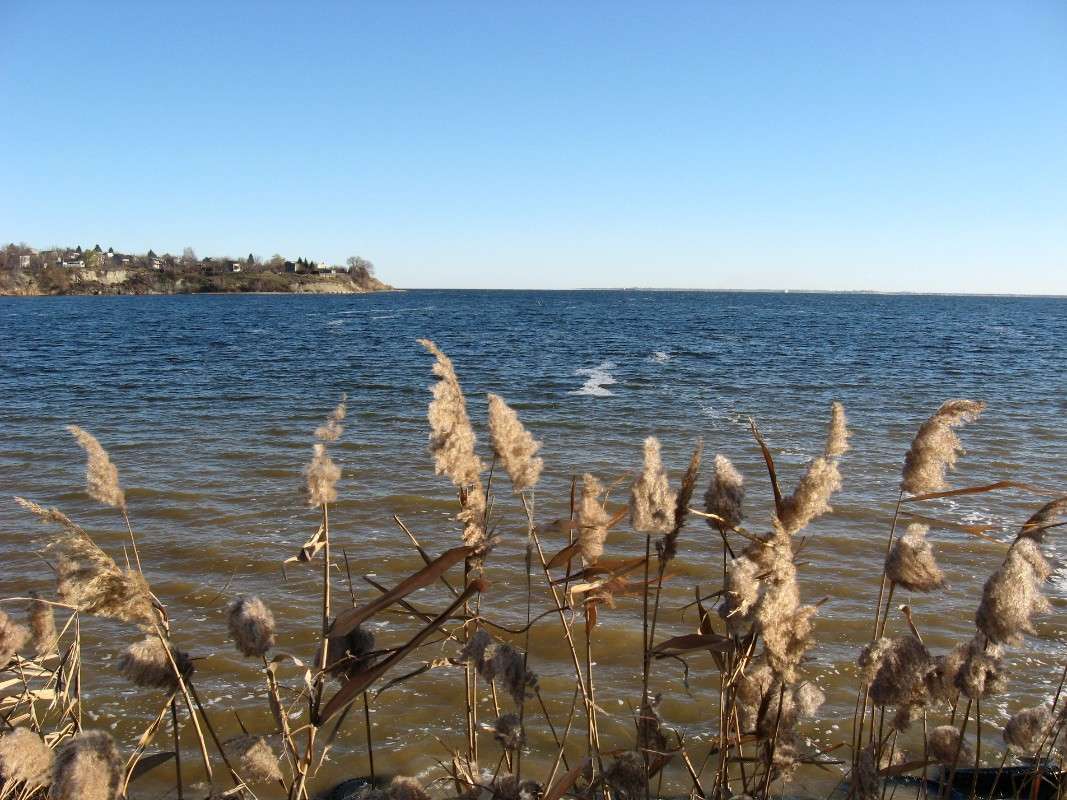 ... ����� Natali  ��������� �� PhotoGeek.ru #������ ��� �������