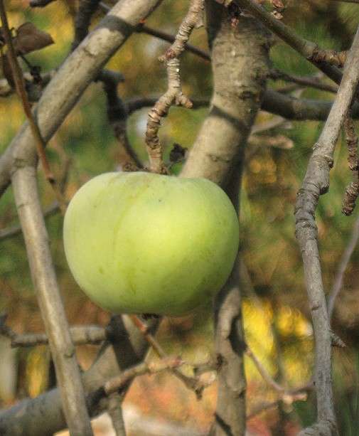 ... ����� Natali  ��������� �� PhotoGeek.ru #������ ��� ������� #����� ��������������