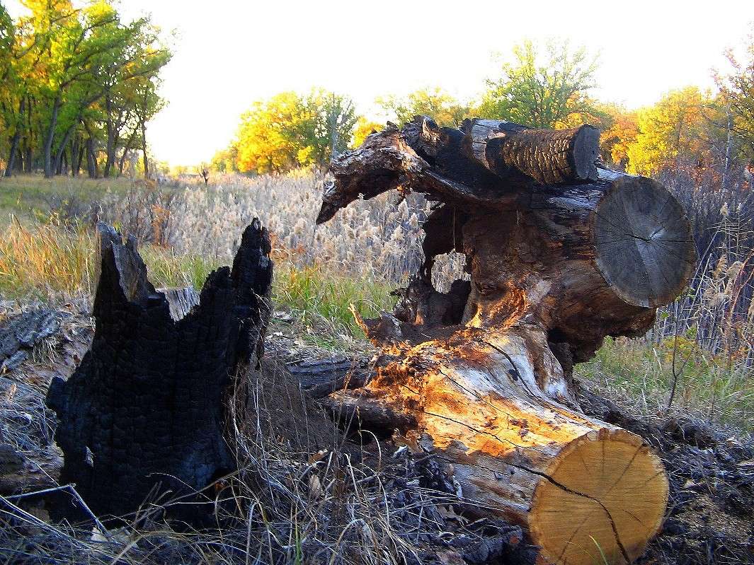 ... ����� Natali  ��������� �� PhotoGeek.ru #������ ��� ������� #����� �������������� #��������� #����� ��������