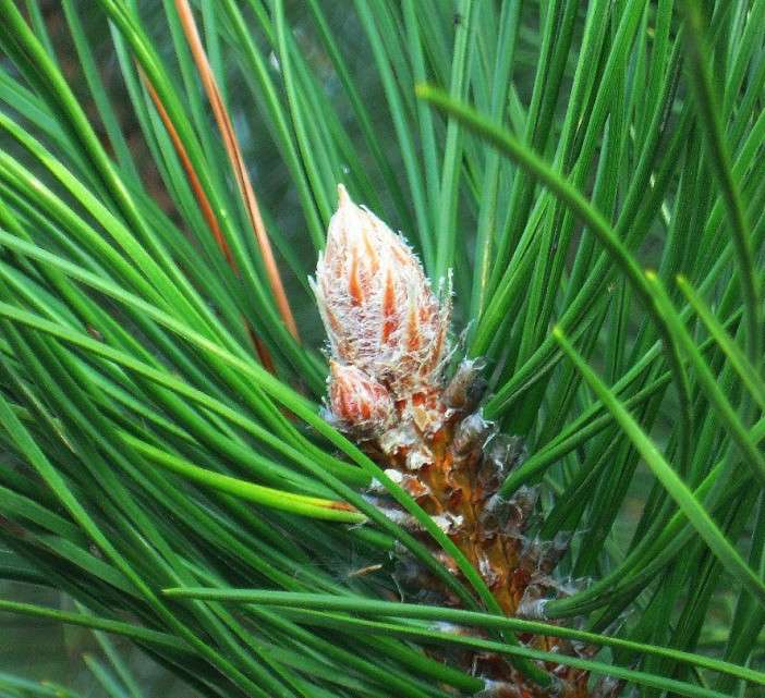 ������� �� ����� �������� ����� Natali  ��������� �� PhotoGeek.ru #����� #������ ��� ������� #����� ��������������