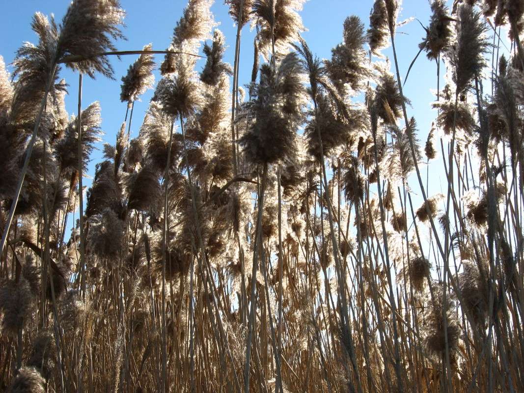 ... ����� Natali  ��������� �� PhotoGeek.ru #������ ��� ������� #����� ��������������