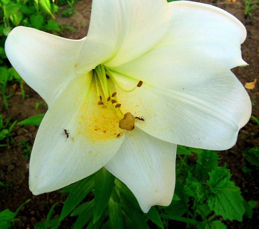 ... ����� Natali  ��������� �� PhotoGeek.ru #������ ��� ������� #����� ��������������