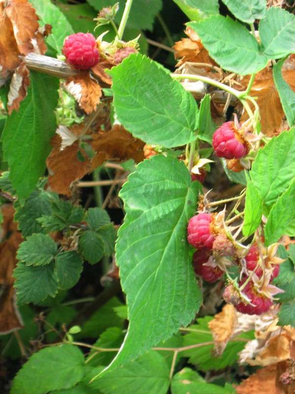 � ����� ���� ����� Natali  ��������� �� PhotoGeek.ru #������ ��� ������� #����� ��������������