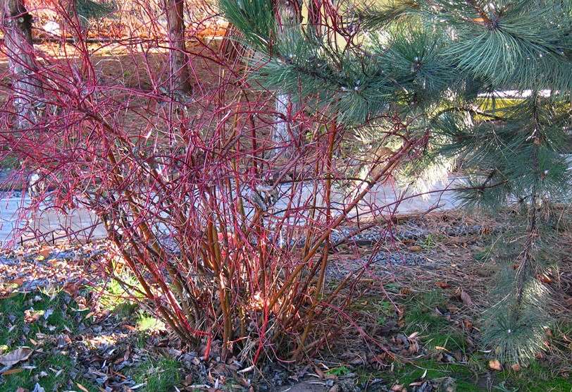 ������� ������ ..))) ����� Natali  ��������� �� PhotoGeek.ru #������ ��� ������� #����� ��������������