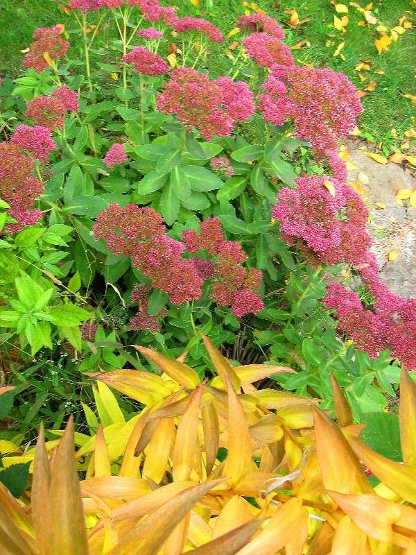 ������ � ����� ))) ����� Natali  ��������� �� PhotoGeek.ru #������ ��� ������� #����� ��������������