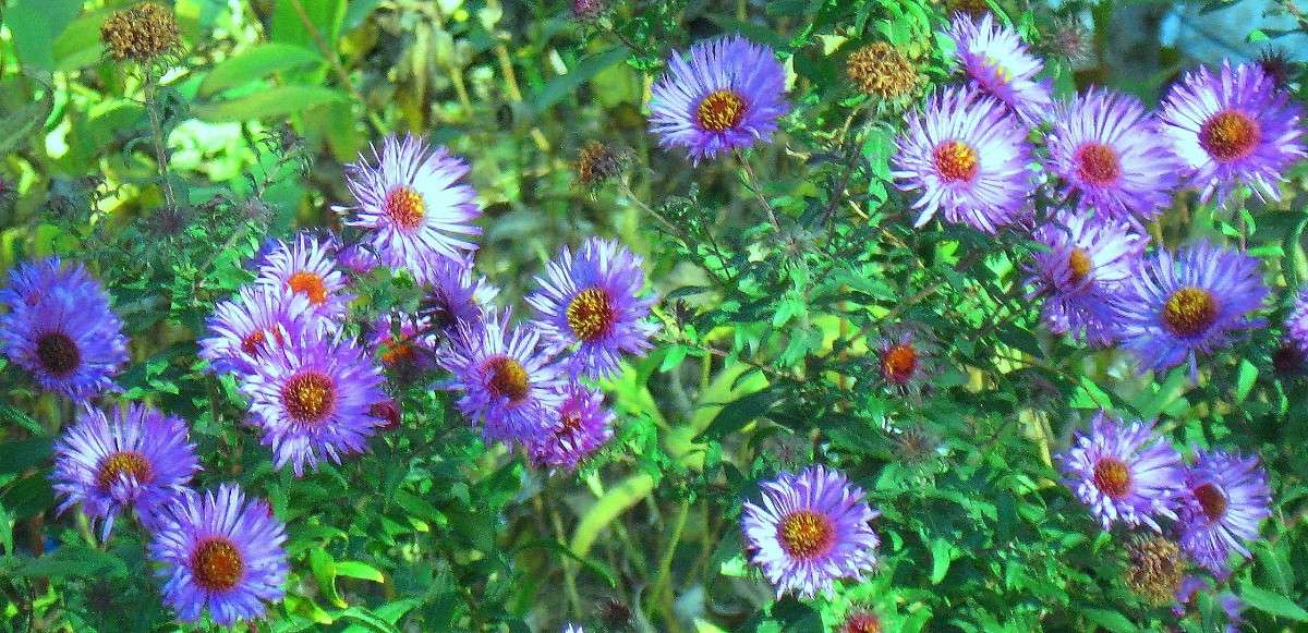 ... ����� Natali  ��������� �� PhotoGeek.ru #������ ��� ������� #����� ��������������