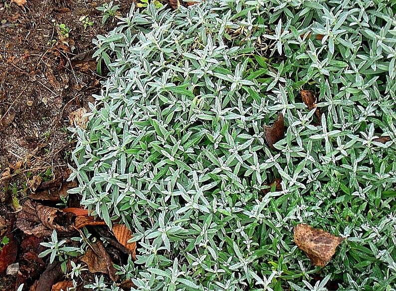 ���� ��� ����� ����� Natali  ��������� �� PhotoGeek.ru #������ ��� ������� #����� ��������������