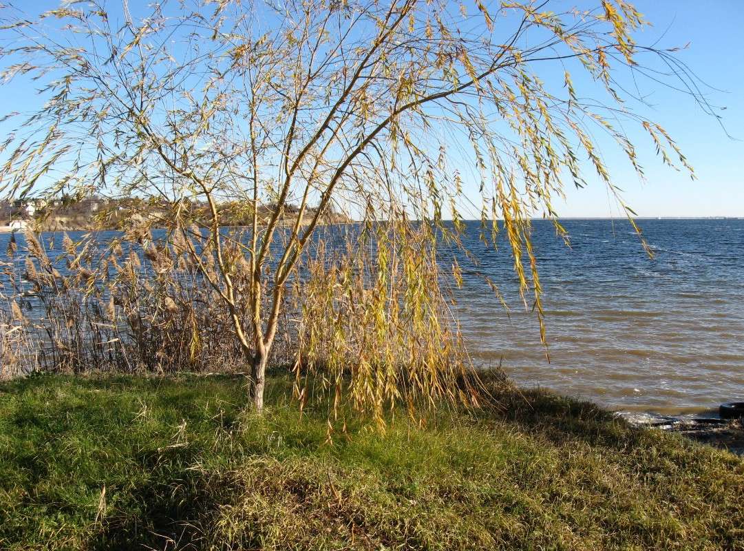 ��� ���������� ������� ����� Natali  ��������� �� PhotoGeek.ru #������ ��� �������