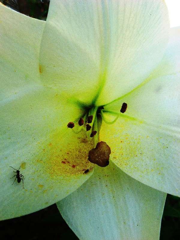 ... ����� Natali  ��������� �� PhotoGeek.ru #������ ��� ������� #����� ��������������