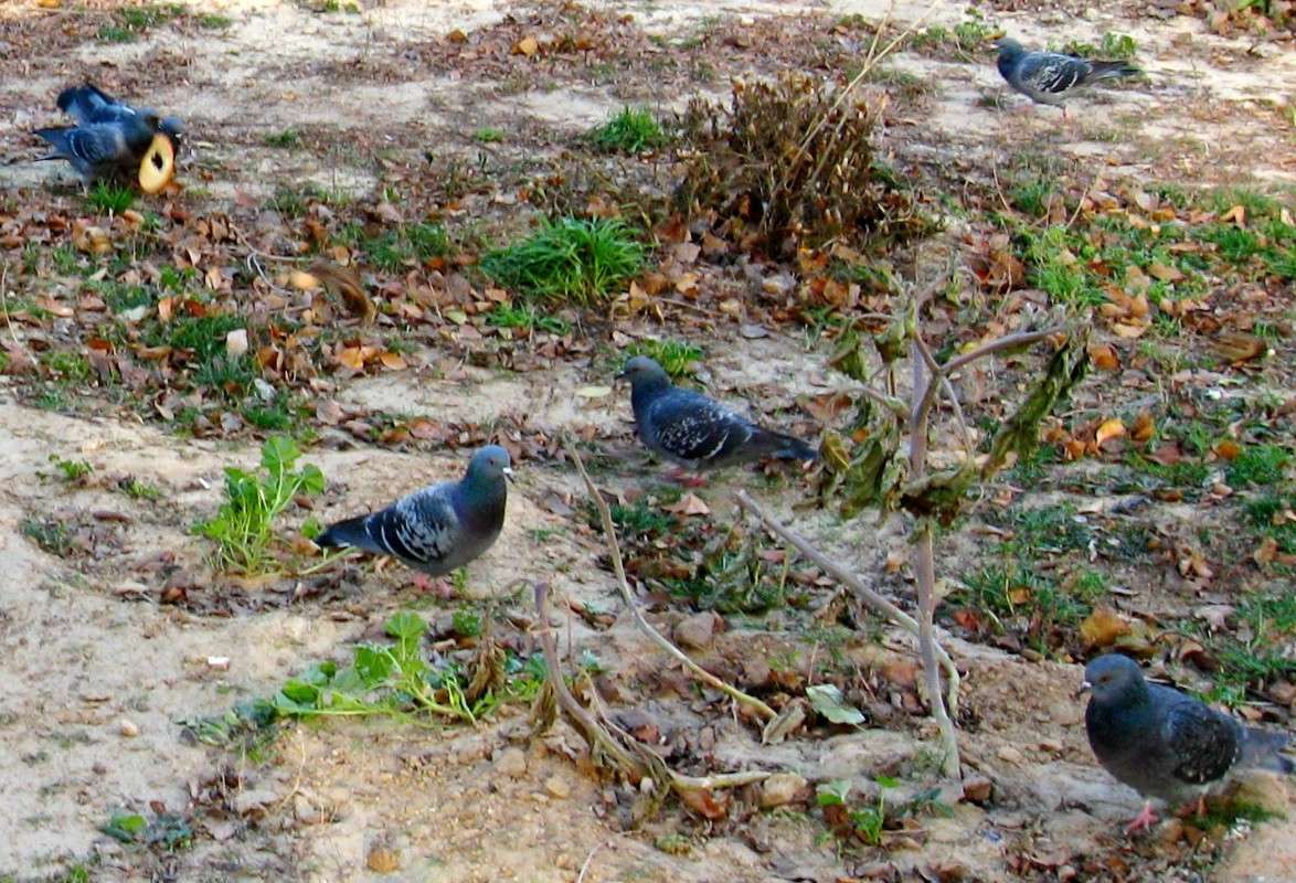 � ��� ������� ��������� ����� Natali  ��������� �� PhotoGeek.ru #�������� ��� #������ ��� ������� #���������