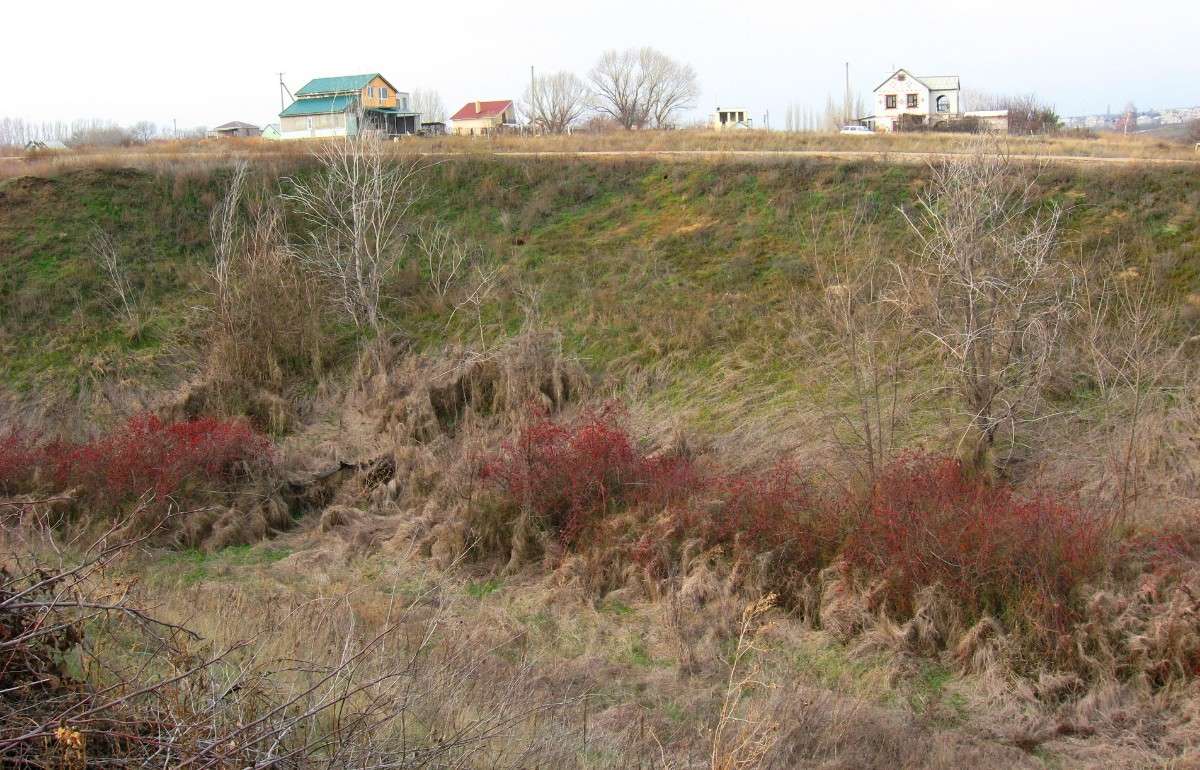 ���, ��� ����� ��������� ����� Natali  ��������� �� PhotoGeek.ru #������ ��� �������