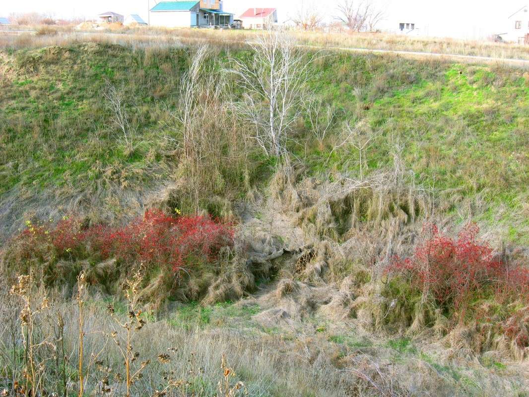 ���.....�� ������� ���� �������� !!!!! ����� Natali  ��������� �� PhotoGeek.ru #������ ��� �������