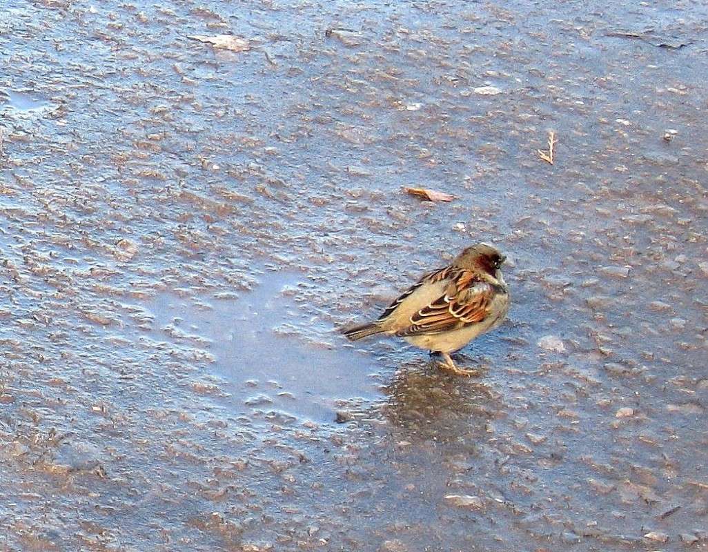 �� ����������, ��� �� ���������� ? ����� Natali  ��������� �� PhotoGeek.ru #�������� ��� #����� ��� ��� ���������