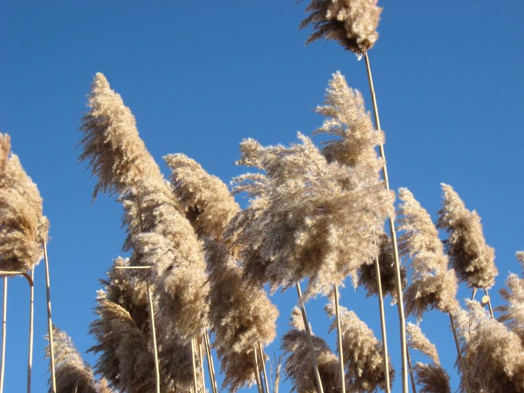 ���������� �����. ����� Natali  ��������� �� PhotoGeek.ru #������ ��� ������� #����� ��������������