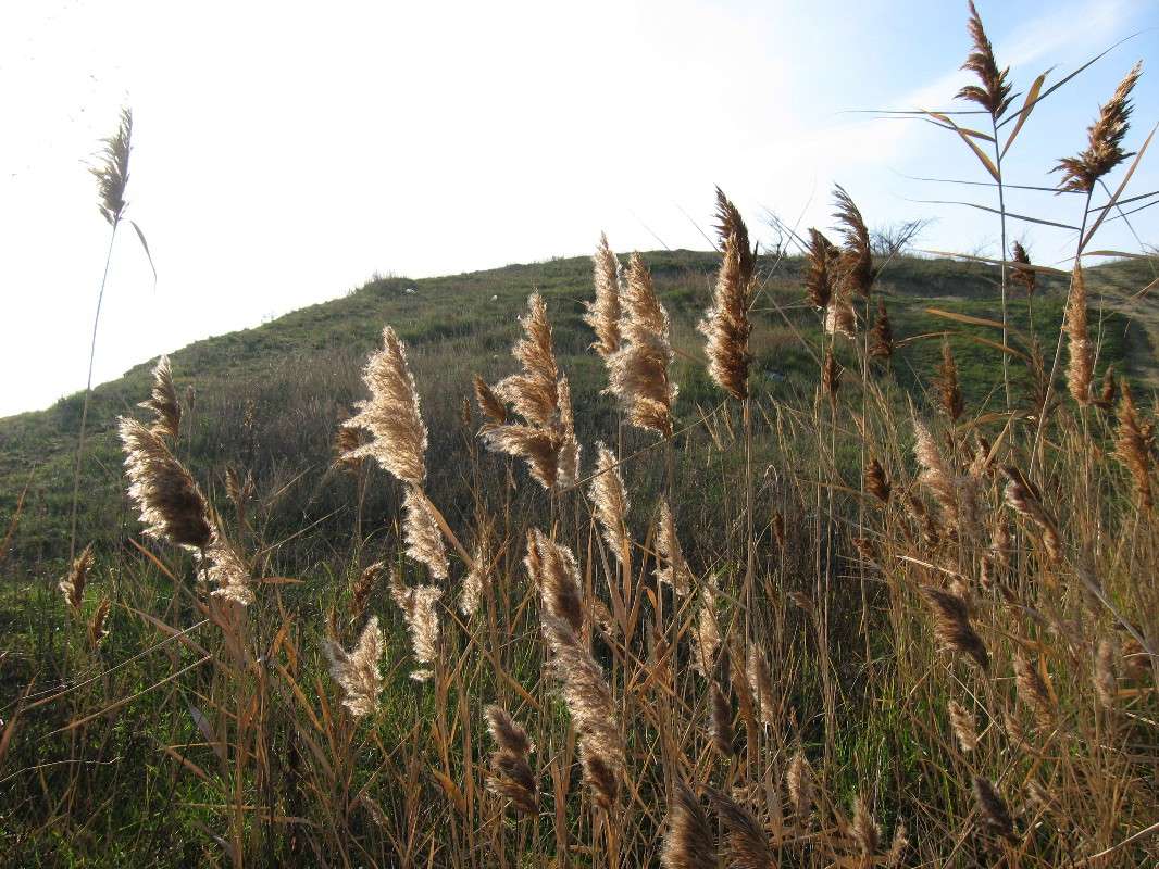 ���� ����� Natali  ��������� �� PhotoGeek.ru #������ ��� ������� #����� ��������������