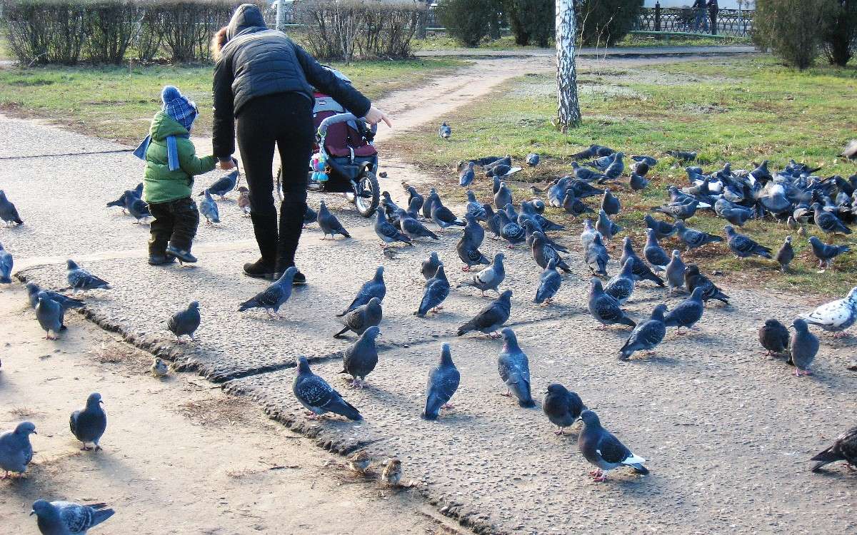 ������ ���� �������������� ����� Natali  ��������� �� PhotoGeek.ru #�������� ��� #�������� ���������� #���������