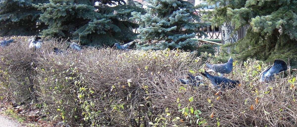 ��������� �������� ����� Natali  ��������� �� PhotoGeek.ru #�������� ��� #������ ��� ������� #����� �������������� #���������