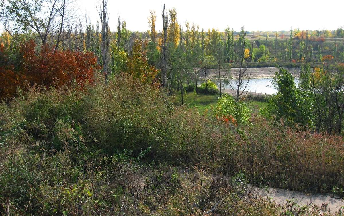 ������� �������� �������. ����� Natali  ��������� �� PhotoGeek.ru #������ ��� ������� #����� ��������������