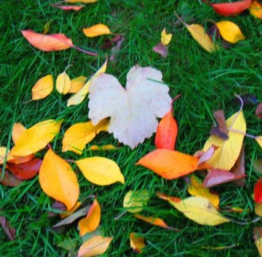 ������� ������ ����� Natali  ��������� �� PhotoGeek.ru #������ ��� ������� #����� ��������������