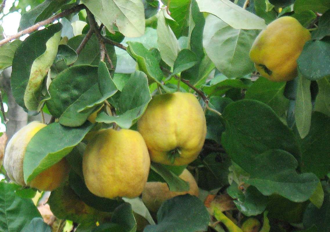 ���� ����� Natali  ��������� �� PhotoGeek.ru #������ ��� ������� #����� ��������������