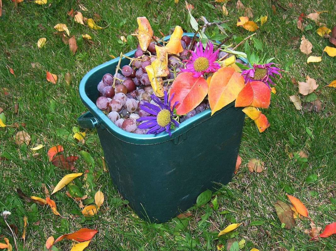 �����, �����, ���� �����..... ����� Natali  ��������� �� PhotoGeek.ru #�������� ���������� #����� ��������������