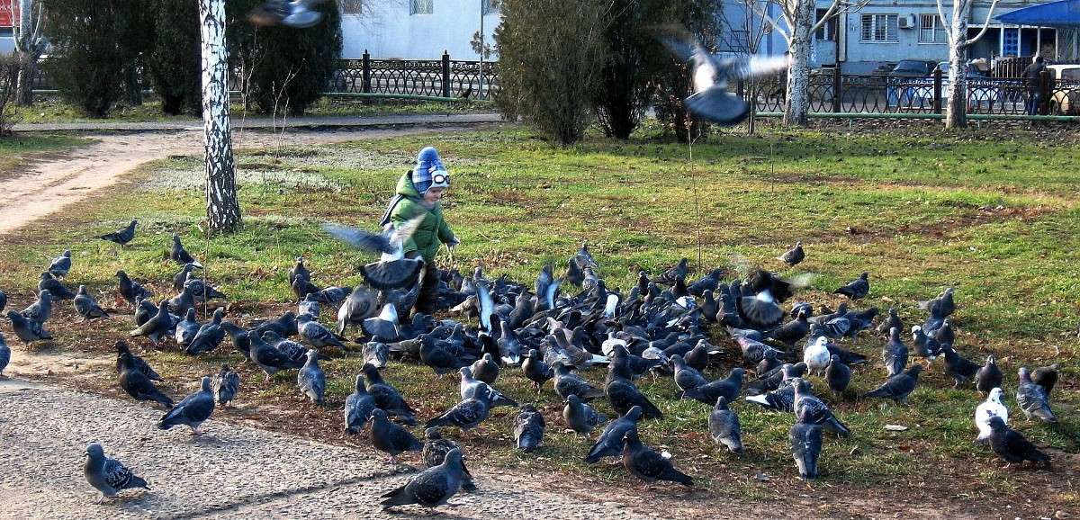 ����� ������ �����...) ����� Natali  ��������� �� PhotoGeek.ru #�������� ��� #�������� ���������� #��������������� #�����-����