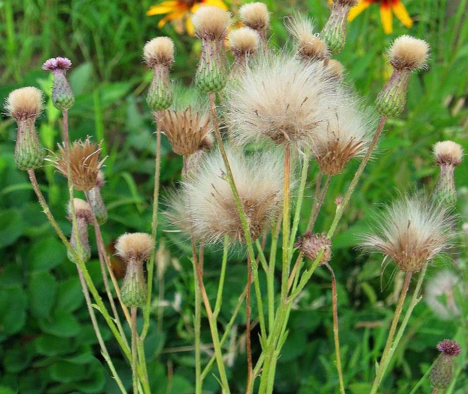 ������ ����� Natali  ��������� �� PhotoGeek.ru #������ ��� ������� #����� ��������������