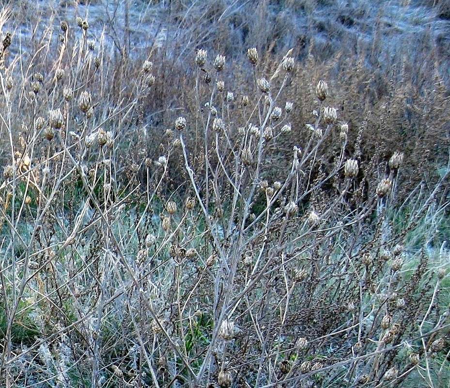 ... ����� Natali  ��������� �� PhotoGeek.ru #������ ��� ������� #����� ��������������