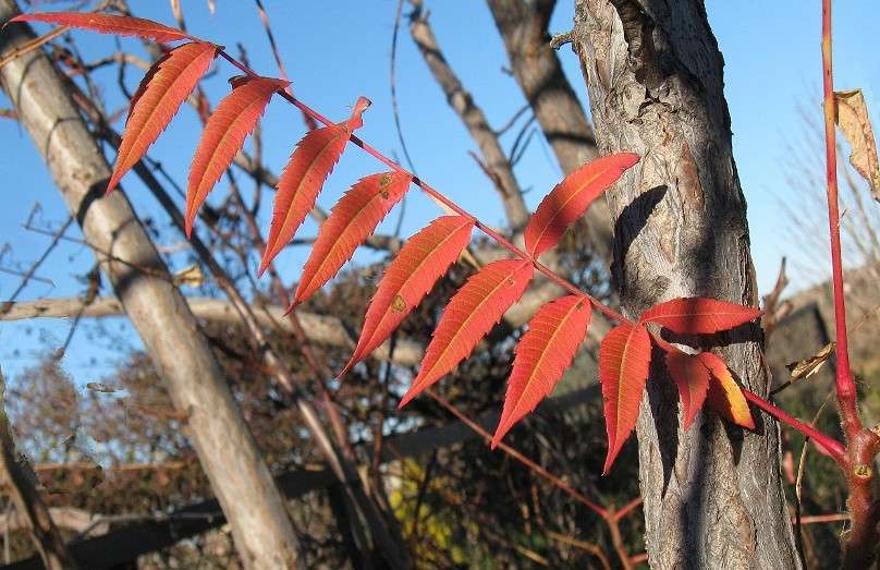 ... ����� Natali  ��������� �� PhotoGeek.ru #������ ��� ������� #����� ��������������